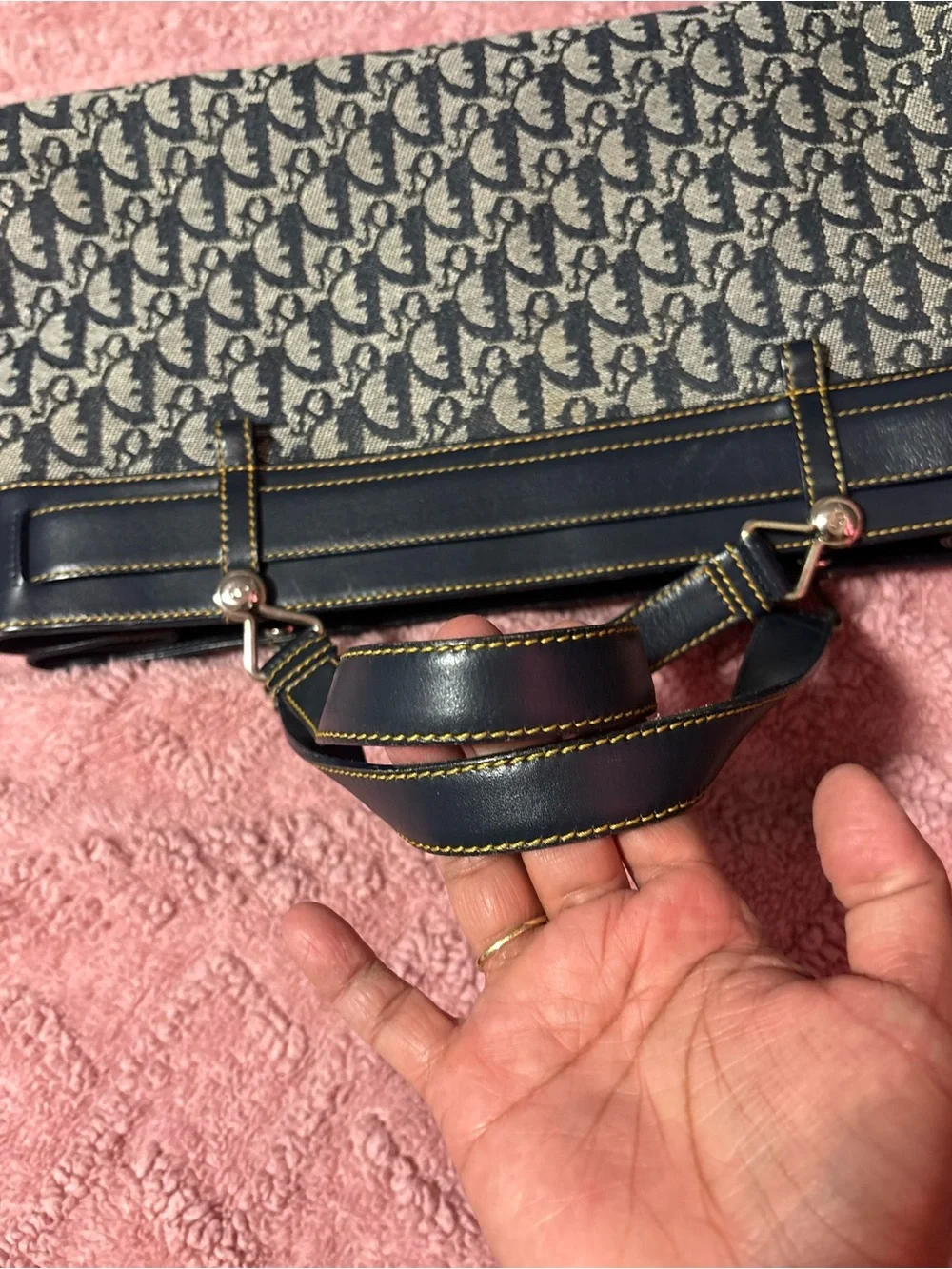 Christian Dior Trotter Tote Bag